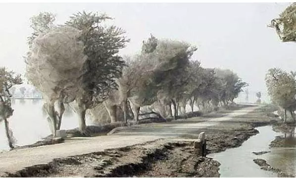 「地球上最怪異的25個奇景」,就算去不了,也一定要看看!真的大開眼界!