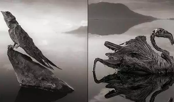 「地球上最怪異的25個奇景」,就算去不了,也一定要看看!真的大開眼界!
