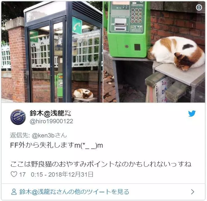 超好睡《電話亭里的貓》或許給了人類更多不要拆電話亭的理由...