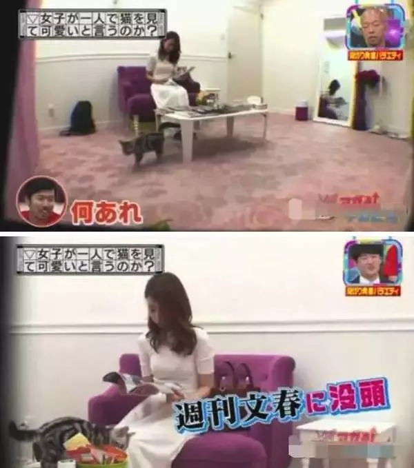 節目為了測試「日本女生到底有多做作」,讓她們跟小鮮肉獨處一室,接著攝影機拍到了「最真實的一面¨¨!」