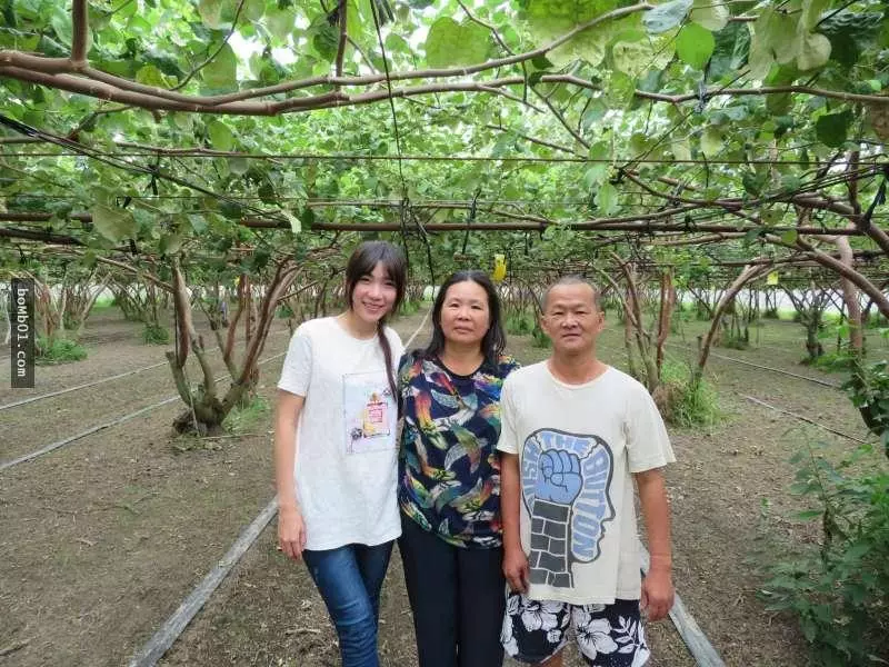 分隔20年…寄養童「回家」見到養父母還留著她照片,爆哭下跪叩謝「沒有你們就沒現在的我」!