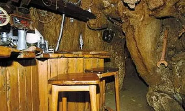 一棵活了6000年的樹,直徑21公尺可以開店鋪,「內有乾坤」吸引大量遊客