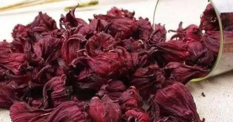 洛神花是植物界的紅寶石,清血管解酒還護肝,但這三種人不能吃
