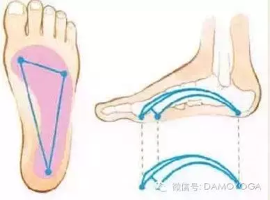瑜伽平衡體式總做不好,跟身體條件無關喲!