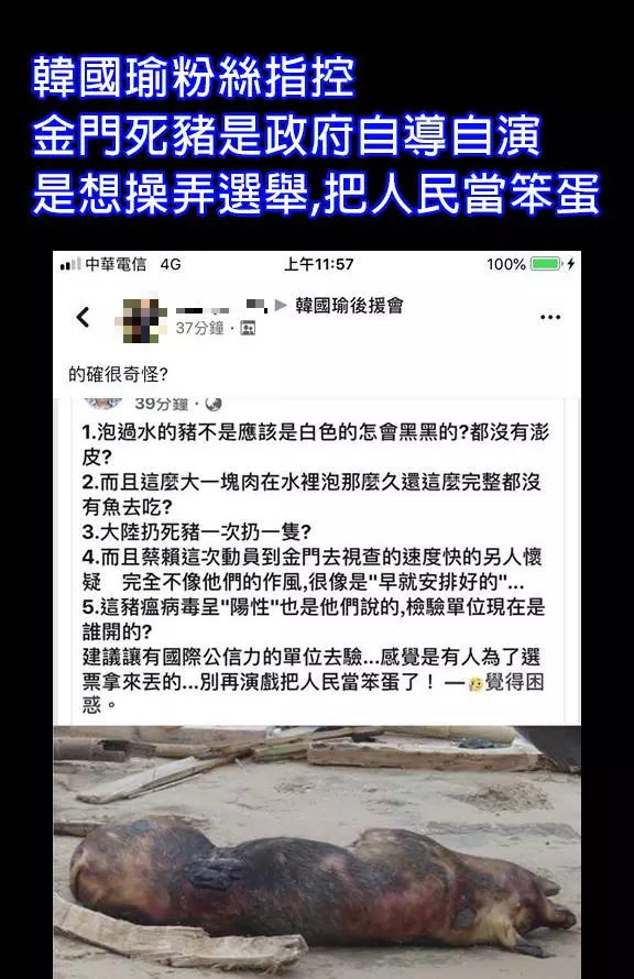韓粉稱海漂死豬是政府「自導自演」!遭網友怒轟造謠 - 政治 - 自由時報電子報