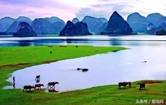 從最美邊境線到最美高速,你能看見廣西不同的風景!