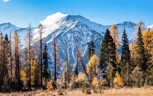 四姑娘山旁風景,景色不輸九寨溝、稻城亞丁!美醉成仙,未商業化