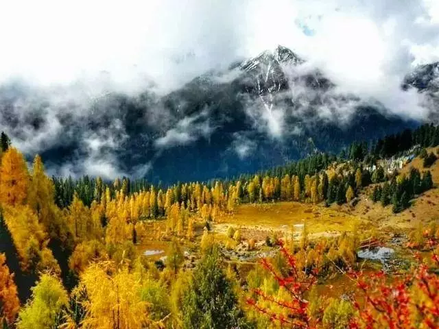 四姑娘山旁風景,景色不輸九寨溝、稻城亞丁!美醉成仙,未商業化