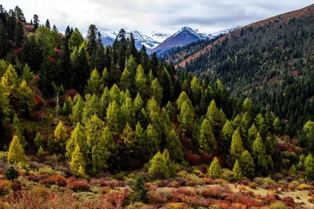 四姑娘山旁風景,景色不輸九寨溝、稻城亞丁!美醉成仙,未商業化