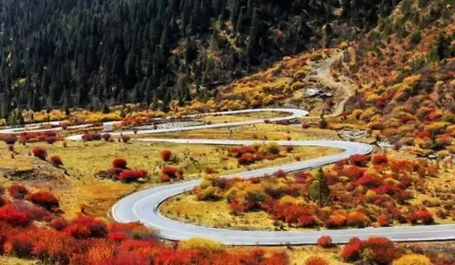 四姑娘山旁風景,景色不輸九寨溝、稻城亞丁!美醉成仙,未商業化