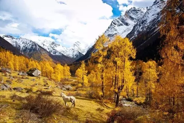 四姑娘山旁風景,景色不輸九寨溝、稻城亞丁!美醉成仙,未商業化