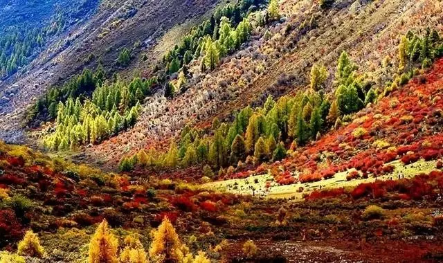 四姑娘山旁風景,景色不輸九寨溝、稻城亞丁!美醉成仙,未商業化