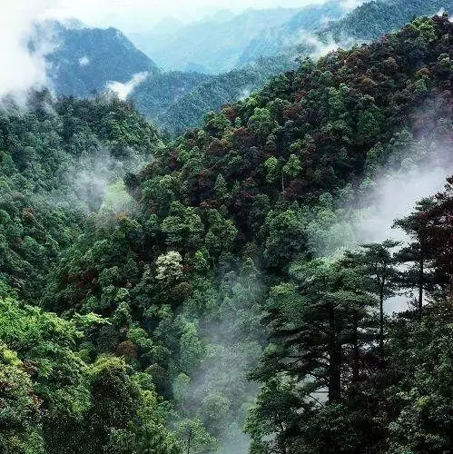 這座贛南小城,私藏了幾百座豪宅!沒有婺源有名卻低調了千年!