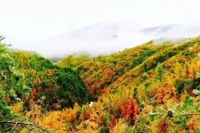 秦嶺最深處,這座海拔最高小城,私藏一個靜美香格里拉,冬季賞雪