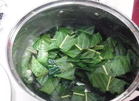 反復咳嗽,喉嚨有痰難入睡?一片葉子熬碗水,再不復發(秒轉)