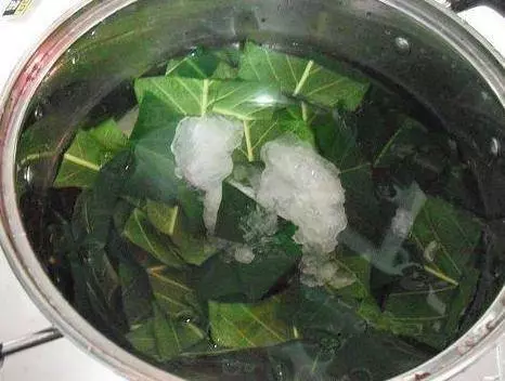 反復咳嗽,喉嚨有痰難入睡?一片葉子熬碗水,再不復發(秒轉)