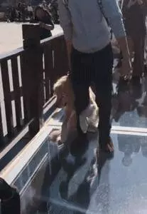 愛牠,就不要將牠拋向空中