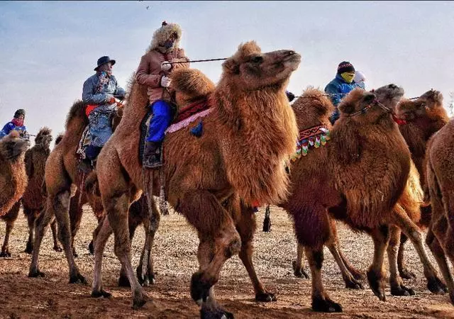 一年只存在幾天的旅行地!上百萬人不惜穿越千里,只為此生無憾!