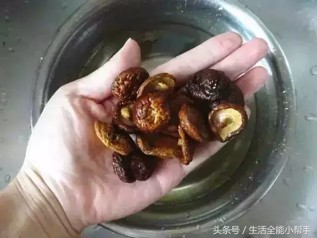 五星級大廚2分鐘快速泡發香菇、木耳、腐竹!簡單實用,快收藏!
