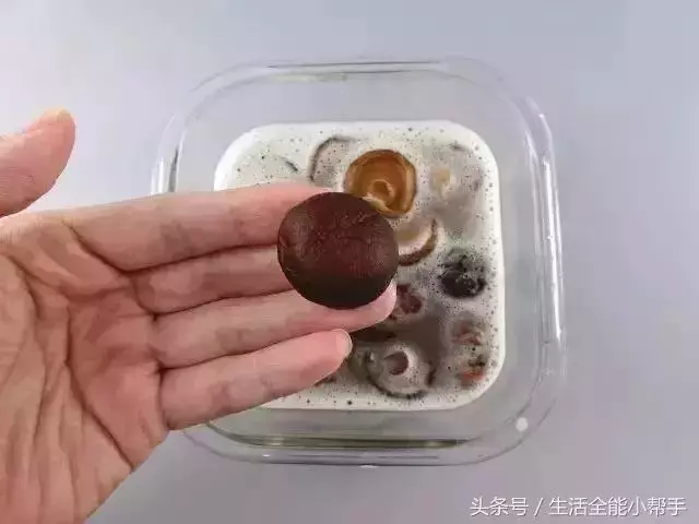 五星級大廚2分鐘快速泡發香菇、木耳、腐竹!簡單實用,快收藏!