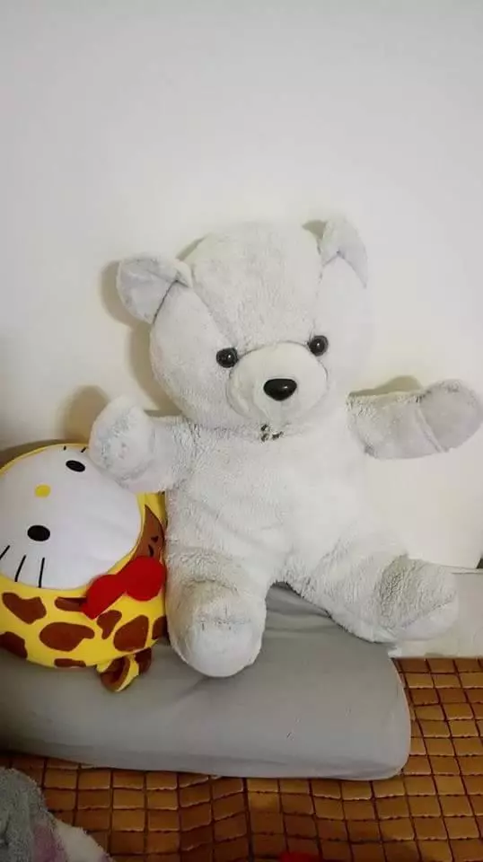 陪伴身邊25年的「安娜BEAR」動了!她從螢幕黑屏反射中看到:它…在我背後瞪著我!