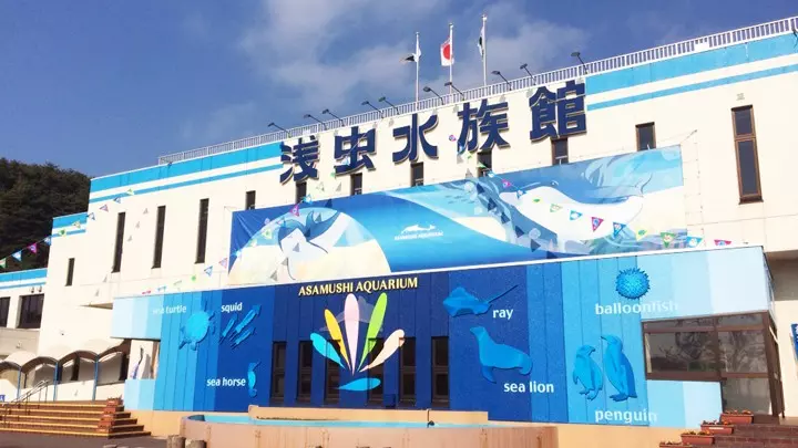 飼育員失蹤!水族館網上張貼「尋人啟事」求助 網友:食人魚水槽發現骷髏…