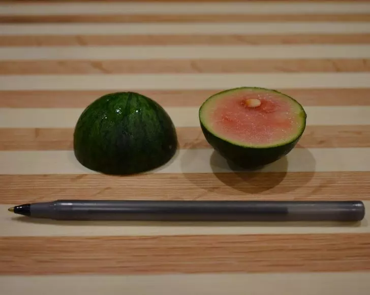 22張「讓你眼睛當機」的真實驚奇照 雲的形狀就像她在想東西的樣子!