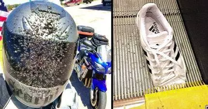 20個運氣超背的「倒楣星人」 衰到盡頭就會好起來啦(應該)XDXD