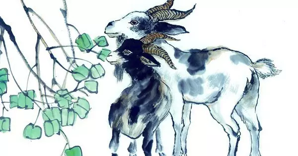 家裡這四種生肖有沒有?下半年生財發財都靠他!