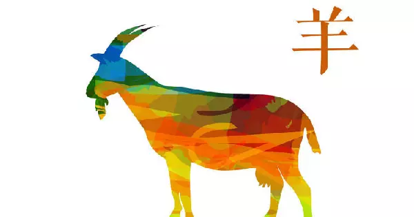 家裡這四種生肖有沒有?下半年生財發財都靠他!