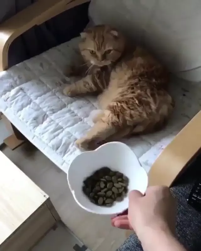奴才送飯「朕94要你喂」!飯來張口網看呆:真的是皇帝命.