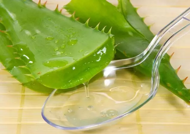 他趁蚊子吸血吸超爽時拿剪刀靠近,神手一剪後出現的「超狂畫面」讓40萬網友High爆了!