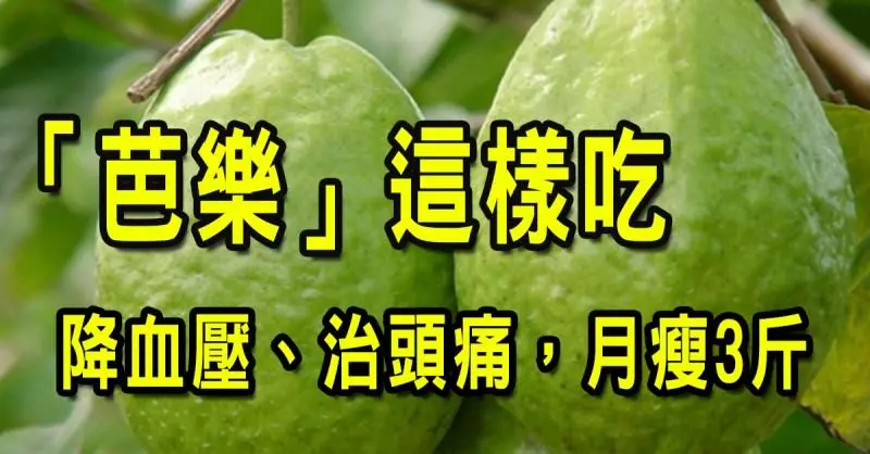 為什麼老一輩的人就算牙齒掉了還是堅持吃芭樂?原來它居然有「8種超強好處」!不吃太可惜了!
