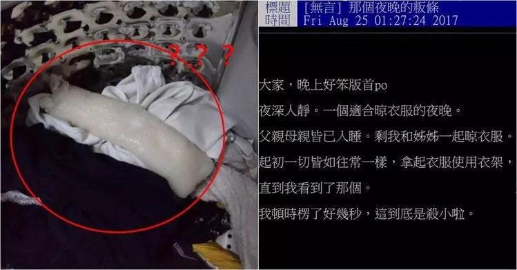 洗衣機驚見「粄條」她好奇湊上前 伸手拾起發現「那是爸爸的...」網全笑哭:後勁好強!