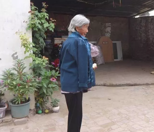 父親被兒媳趕到破草屋,感染重病,兒子趕忙去看父親,卻發現一些動物在父親身旁