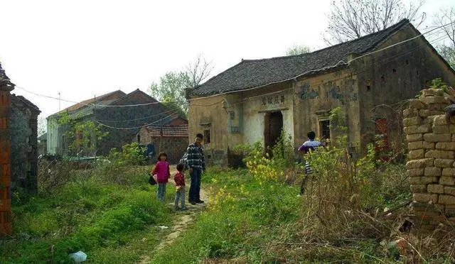 兒子從不回家,每月寄1000回來,父親裝死騙他回家,進屋臉都白了!