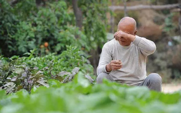 兒子從不回家,每月寄1000回來,父親裝死騙他回家,進屋臉都白了!