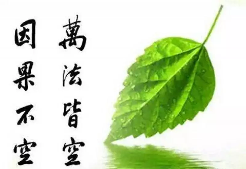 夫妻因果,三世糾纏,看完後你會明白很多(不管多忙都要看完。)