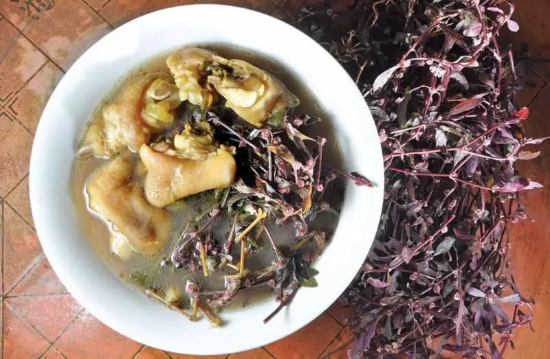 她身患冠心病,三條心血管阻塞,老伯教她紅田烏煲水喝,盡然痊癒了!