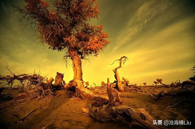 深度好文,不管你經歷了什麼,從這一刻開始改變自己的命運
