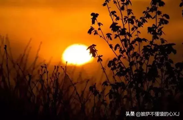 一位漁夫告訴我……(靜下看看)
