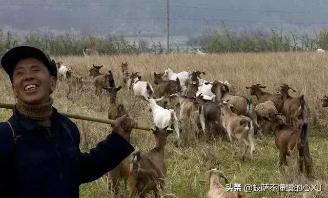 一位漁夫告訴我……(靜下看看)