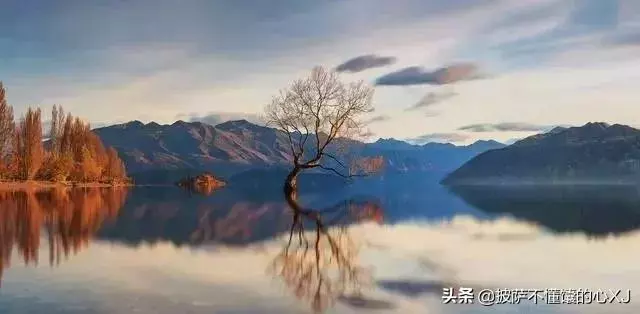 一位漁夫告訴我……(靜下看看)