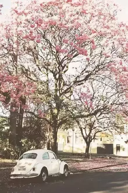 什麼是幸福,最美的回答!