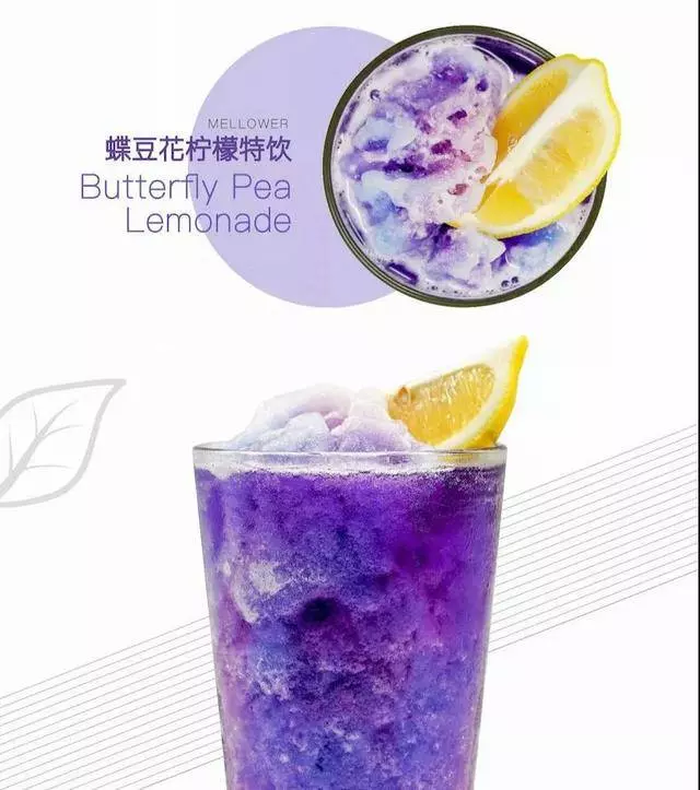 蝶豆花的花青素和維生素是黑枸杞的8倍、藍莓的43倍,教你3種【蝶豆花茶】的正確泡法,營養更翻倍