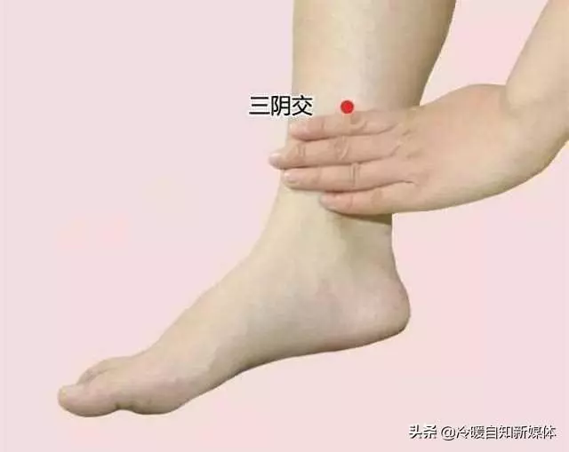 身體暗藏的5個長壽「機關」,沒事常按一按,百病全趕走