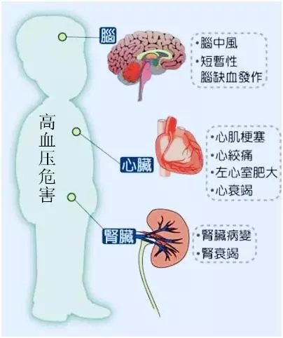 高血壓不要怕,中醫教你按摩這7穴,跟著做控血壓,副作用小!