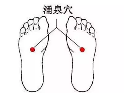 濕氣不除,生百病?常按身體這幾處,吃這1物,祛濕、瘦十斤!