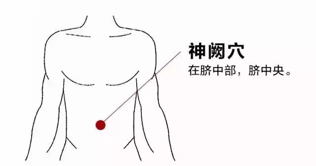 濕氣不除,生百病?常按身體這幾處,吃這1物,祛濕、瘦十斤!