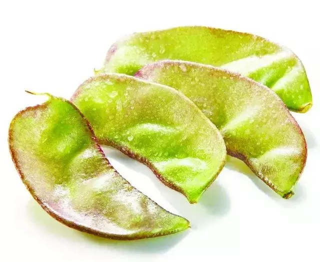 脾胃是後天之本,內傷脾胃百病生~談脾胃虛寒的危害
